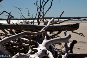 IMG_5713
