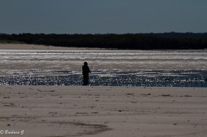IMG_5719