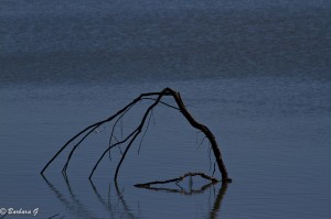 IMG_5729