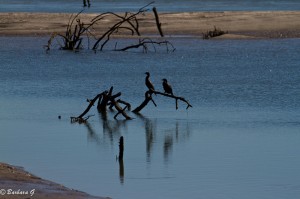 IMG_5738