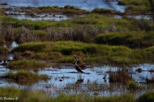 IMG_5746