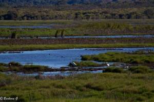 IMG_5749