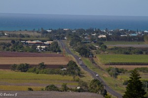 IMG_5810