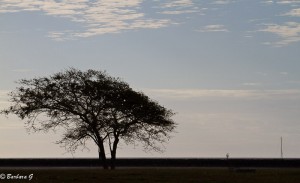 IMG_5812