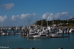 IMG_5827-2