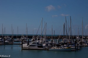 IMG_5829-3