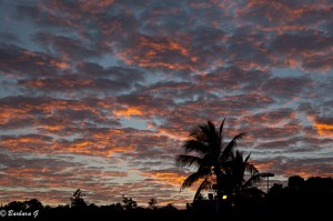 IMG_5842