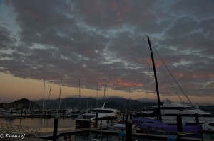 IMG_5848