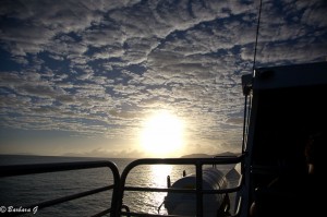 IMG_5857