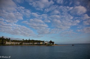 IMG_5868