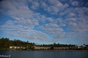 IMG_5871