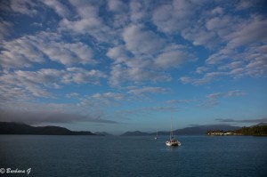 IMG_5873