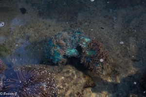 IMG_5876