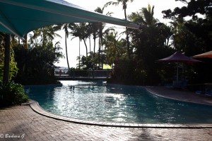 IMG_5879