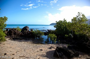 IMG_5895