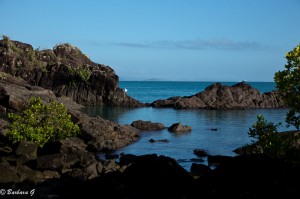 IMG_5901