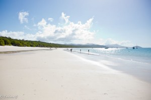 IMG_5984-2