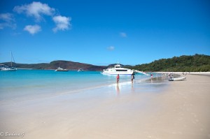 IMG_5987-2