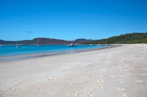 IMG_6008-2