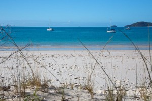 IMG_6011