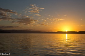 IMG_6043