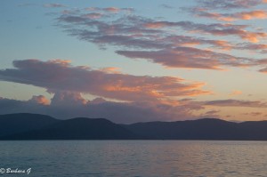 IMG_6053