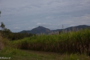 IMG_6064