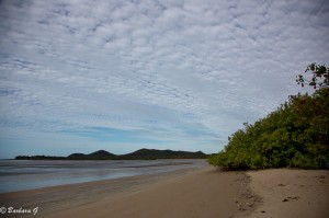IMG_6067