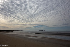 IMG_6068