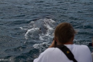 IMG_6135