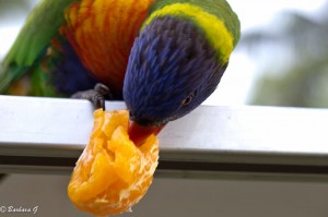 IMG_6163