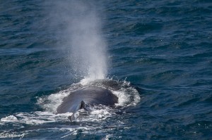 IMG_6165