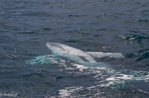 IMG_6177