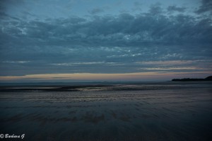 IMG_6239