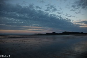 IMG_6240