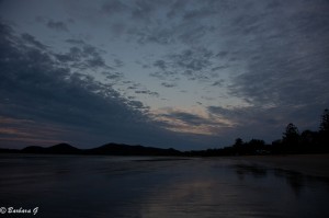 IMG_6247