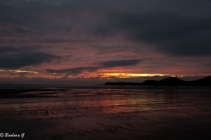 IMG_6263