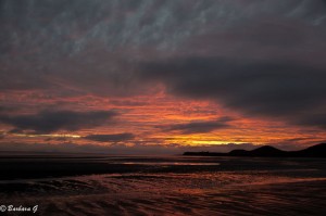 IMG_6268