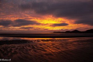 IMG_6271