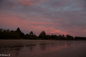 IMG_6274