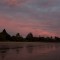 IMG_6274
