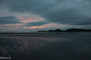 IMG_6278