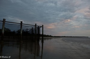 IMG_6285