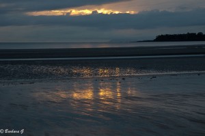 IMG_6287