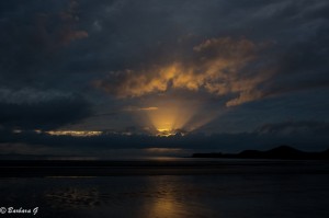 IMG_6299