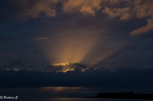 IMG_6300