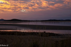 IMG_6340