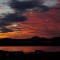 IMG_6354