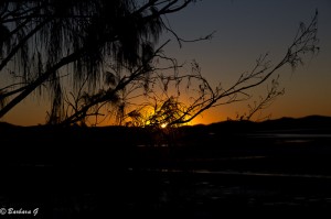 IMG_6377-2