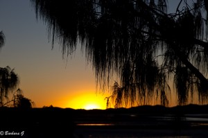 IMG_6382-2